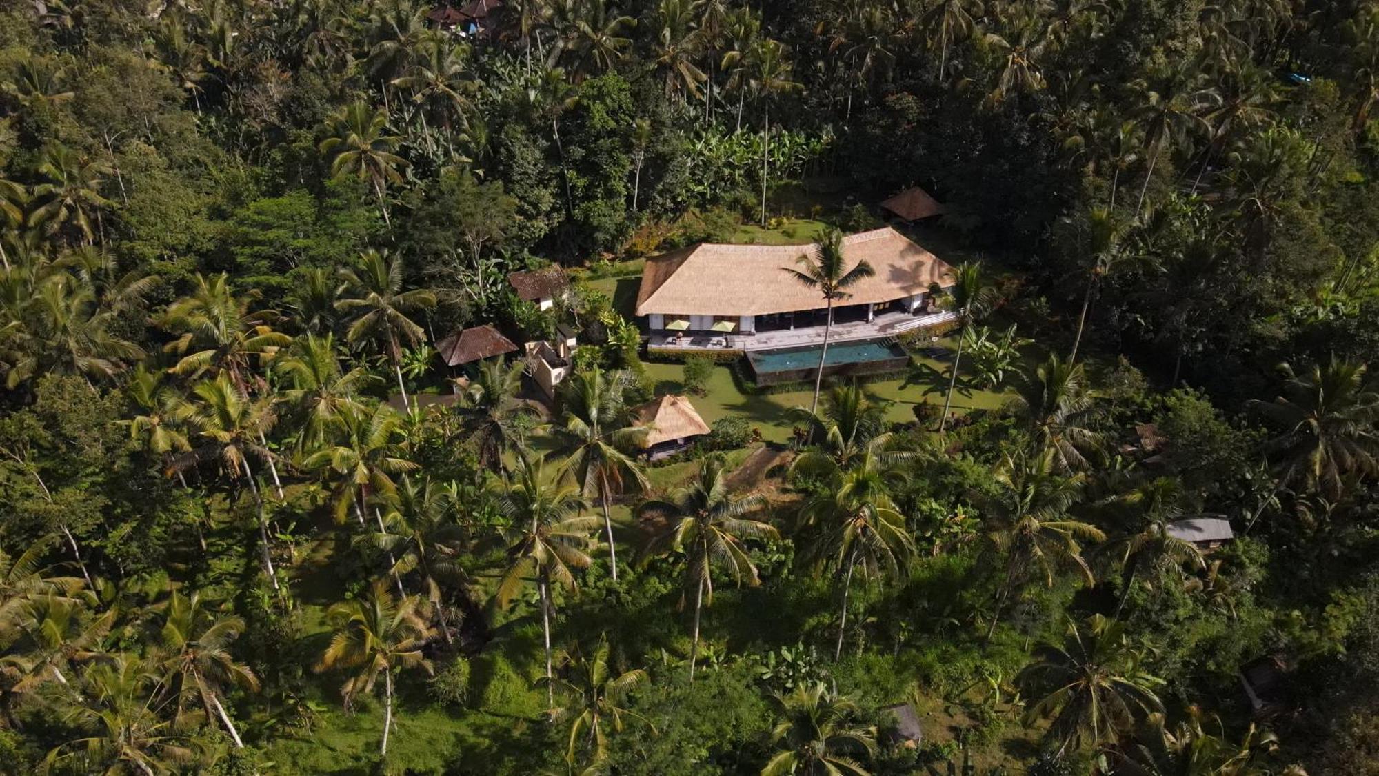 Villa Themma Jungle - Sumptuous 3Br Luxury Villa With Majestic Jungle View North Of Ubud מראה חיצוני תמונה