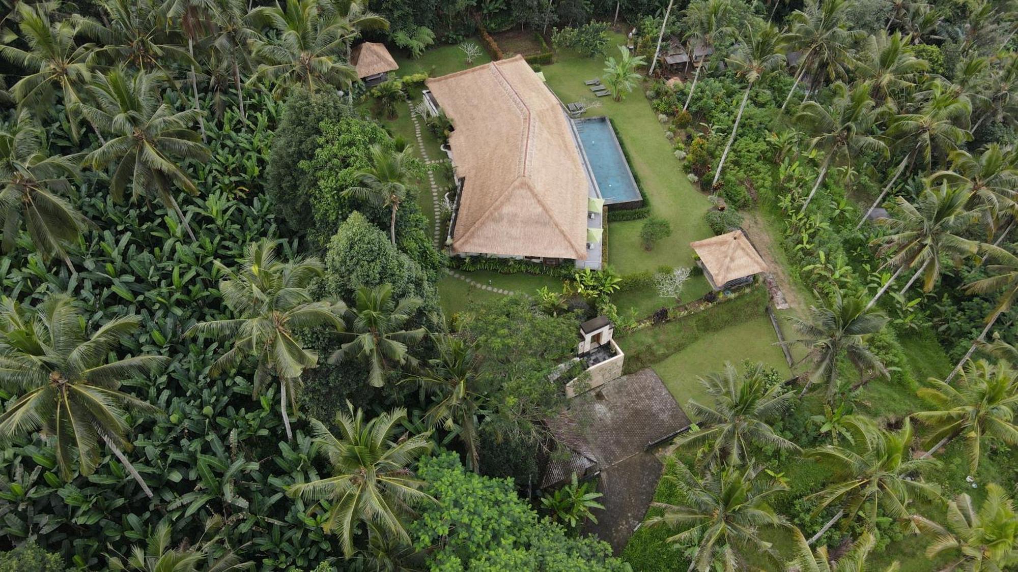 Villa Themma Jungle - Sumptuous 3Br Luxury Villa With Majestic Jungle View North Of Ubud מראה חיצוני תמונה