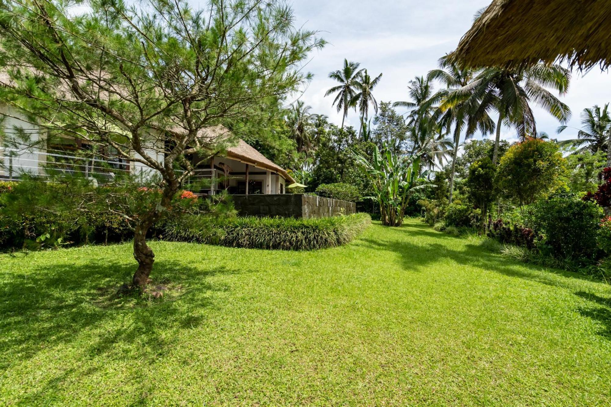 Villa Themma Jungle - Sumptuous 3Br Luxury Villa With Majestic Jungle View North Of Ubud מראה חיצוני תמונה