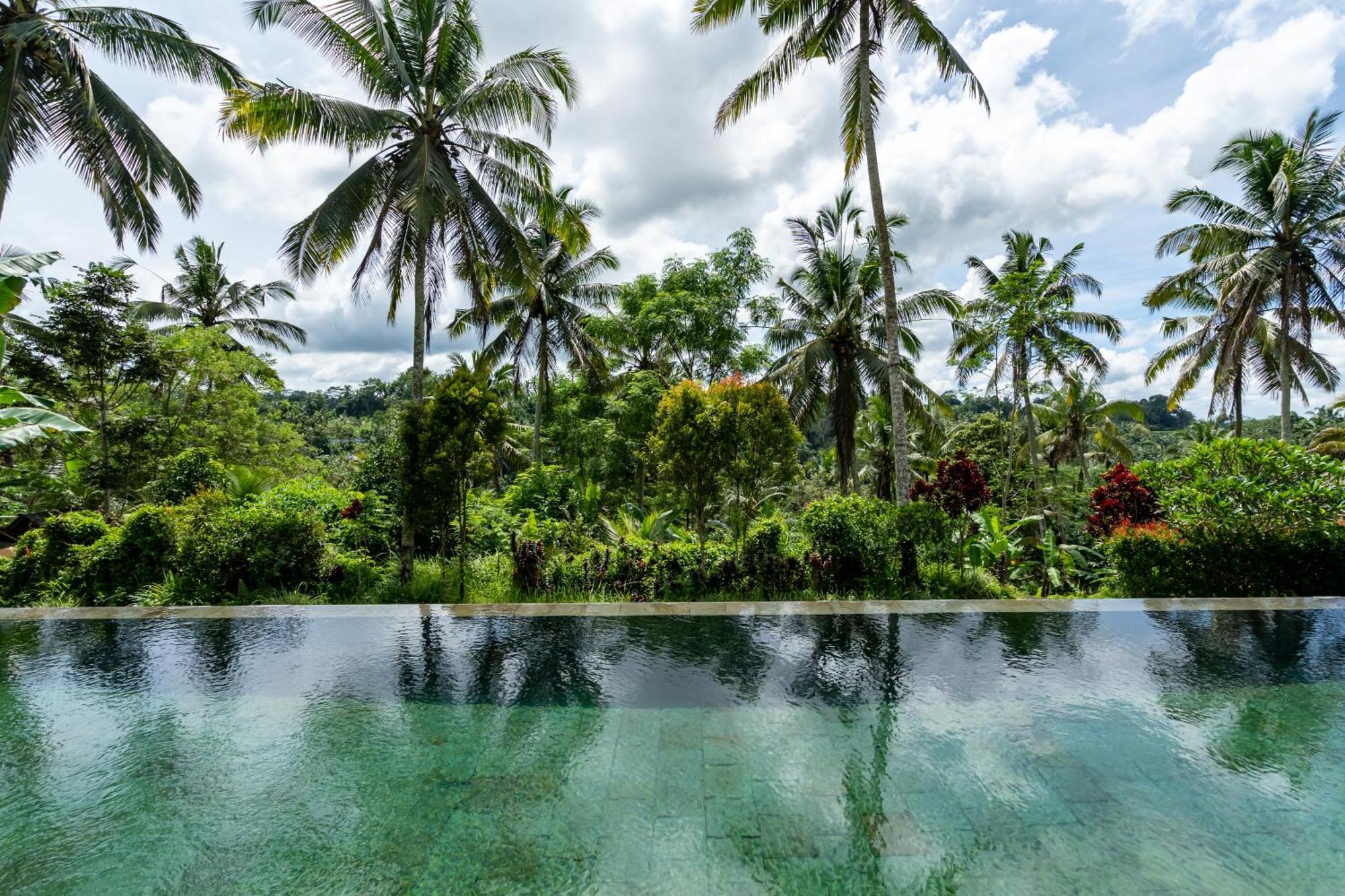 Villa Themma Jungle - Sumptuous 3Br Luxury Villa With Majestic Jungle View North Of Ubud מראה חיצוני תמונה